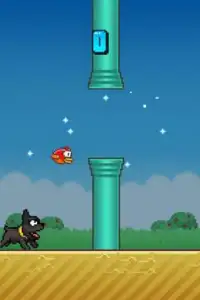 Splashy Bird & Angry Puppy Screen Shot 4