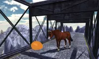 Snow Hill Pony Horse Simulator Screen Shot 4