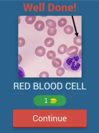 Hematology quiz App Screen Shot 9