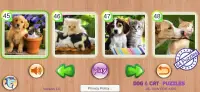 Dog & Cat Puzzle - Rompecabezas-Puppy kitty Doggy Screen Shot 1