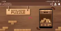 Wood Block Puzzle Game Screen Shot 9