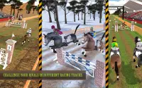 Horse Racing Championship 3D & Jumping Stunts 18 Screen Shot 6