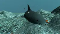 Fish Feed Simulator Screen Shot 4