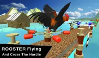 Farm Rooster Stunts & Water Run 🐓🐓 Screen Shot 5