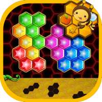 Bee Hive Puzzle