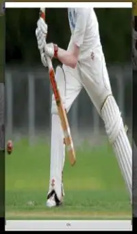 Cricket Games Screen Shot 3