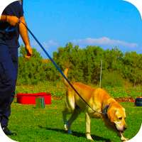 Police Dog Stunt Training