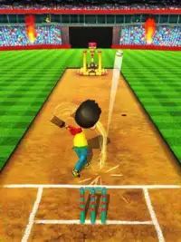 Cricket Game Full Toss Screen Shot 5