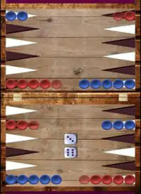 Professional backgammon free Screen Shot 3