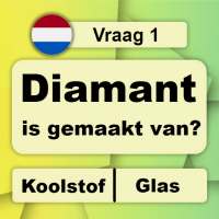 30in1 Trivia-spel: Nederlands