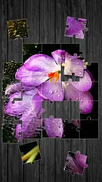 Fleurs Jeu de Puzzle Screen Shot 1