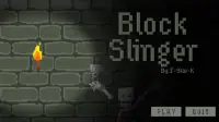Block Slinger Screen Shot 0