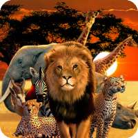 Animals Quiz - Wild Creatures Educational Trivia