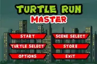 Turtle Run Master Screen Shot 3