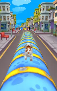 Dog Run Pet Runner Dog Game Screen Shot 4
