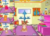 Pet Salon - Permainan Anak Screen Shot 11