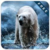 Urso polar