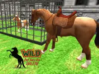 Wild Pony Horse Run Simulator Screen Shot 13