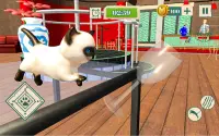 Meow Kitty - Idle Cat Simulator Vs Rat Simulator Screen Shot 3
