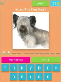 Guess The Dog Breed Screen Shot 7