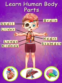 Kids Body Parts Learning Screen Shot 0