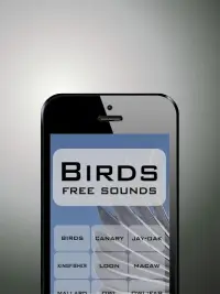 Birds funny sounds free Screen Shot 0