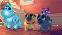 Puppy dog Pet Pals 🐕 Screen Shot 3