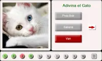 Adivina el Gato: Rompecabezas de Azulejos Screen Shot 0