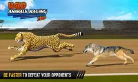 Animais Selvagens Racing 3D Screen Shot 3