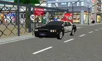 liberty police auto road sim Screen Shot 0