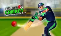 cricket T20 campioni lega Screen Shot 0