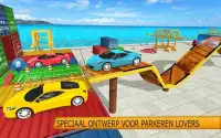 auto parkeren simulator multi niveau spel Screen Shot 2