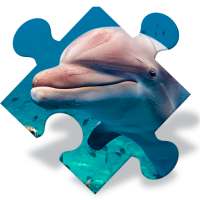 Пазлы дельфины бесплатно