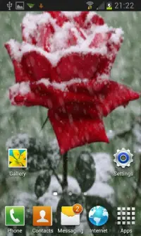 Icy Red Rose Live Wallpaper Screen Shot 1