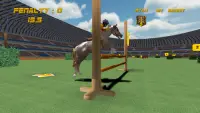 Show Jumping Screen Shot 6