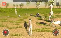 하이에나 게임 3D - 사파리 동물 시뮬레이터 Screen Shot 14
