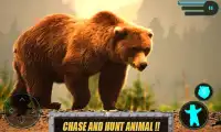 Wild Bear Real 3D Simulator Screen Shot 3