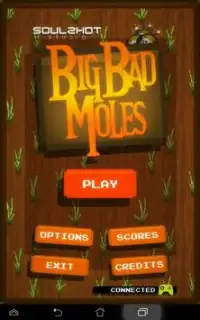 Big Bad Moles Screen Shot 9