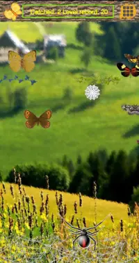 Arkanoid: Butterfly catcher Screen Shot 2