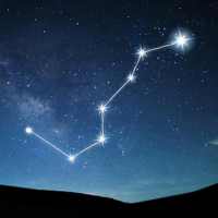 Star Link : Constellation