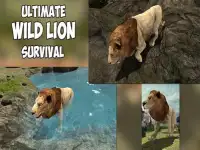 Angry Lion Jungle Survival 3D Screen Shot 8
