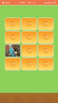 Birds Memory Match Game Screen Shot 1