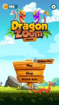 Dragon Zoom Screen Shot 0