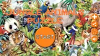 Animals Puzzle - Jungle Screen Shot 0