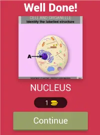 Anatomy Online Quiz: Cell and Organelles Screen Shot 7
