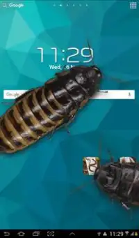 Cockroaches in Phone Ugly Joke Screen Shot 4