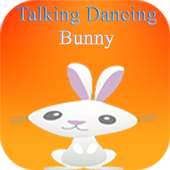 Talking Dancing Rabbit