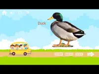 100 Animals and Birds for kids Screen Shot 13