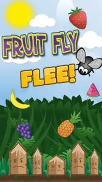 Fruit Fly Flee Screen Shot 0
