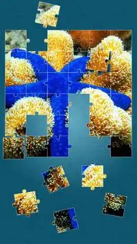 Sea Life Jigsaw Puzzles Screen Shot 14